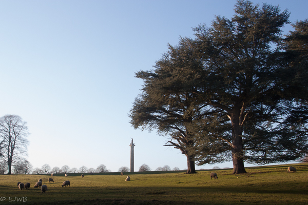 Column of Victory&nbsp;