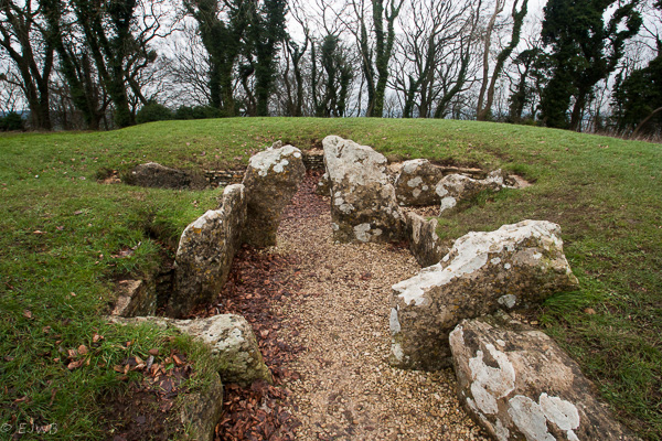 The Long Barrow (English Heritage)