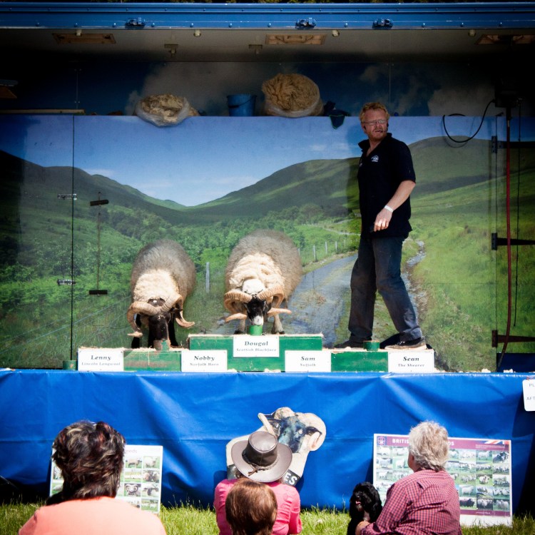 Wool Fair.jpg