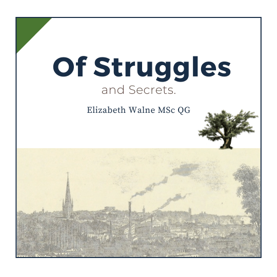 Norwich from Mousehold, a view of the cathedral and several chimneys c1880s. From British Library Flickr (see caption).